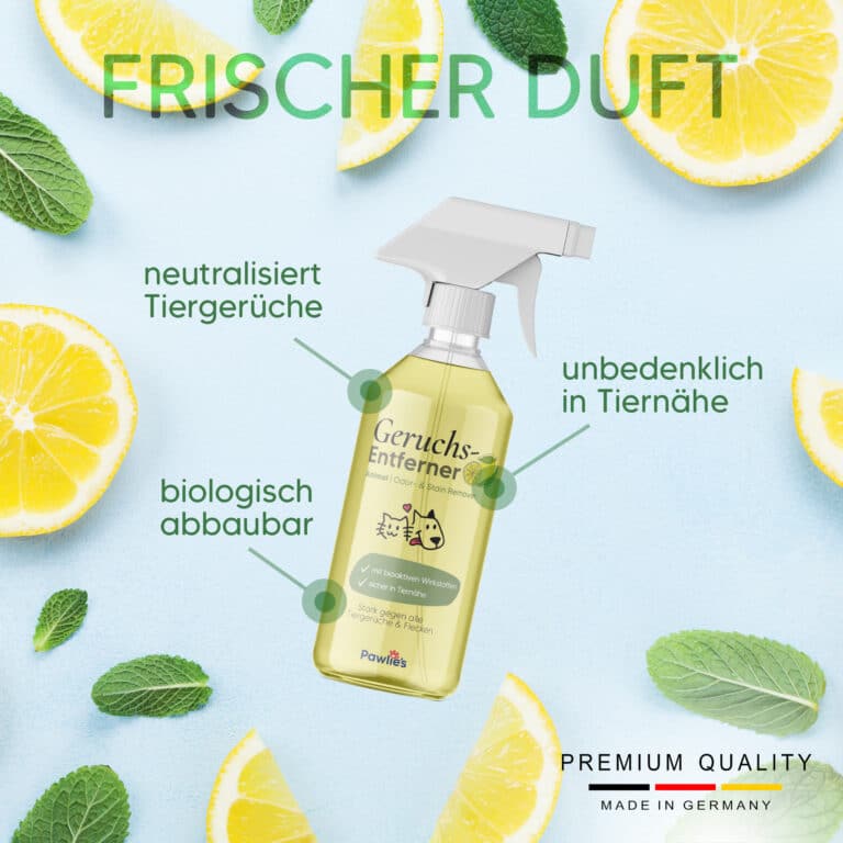 TierGeruchsentferner & Enzymreiniger Katzenurin & Hundegeruch aus Sofa, Teppich etc