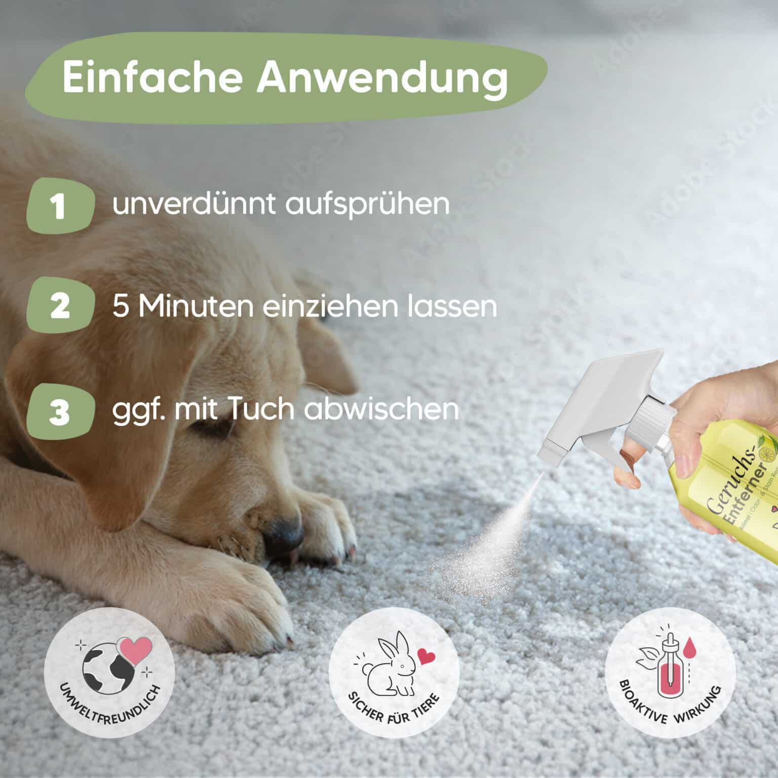 TierGeruchsentferner & Enzymreiniger Katzenurin & Hundegeruch aus Sofa, Teppich etc