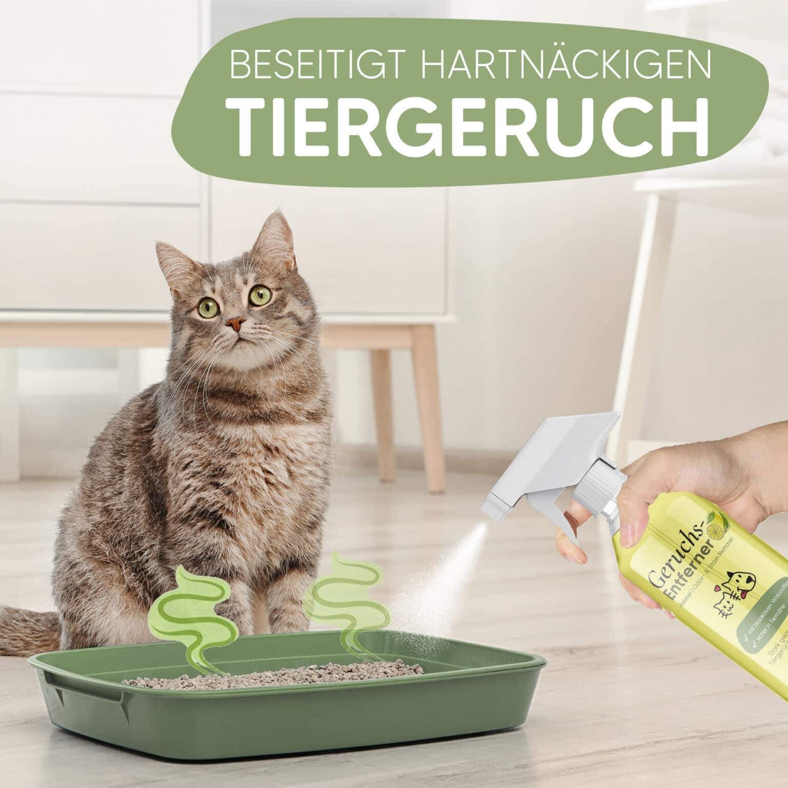 Wie Bekommt Man Hundegeruch Aus Dem Sofa Tier-Geruchsentferner & Enzymreiniger - Katzenurin & Hundegeruch aus