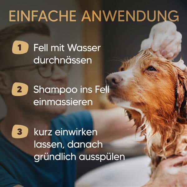 Hundeshampoo Anwendung