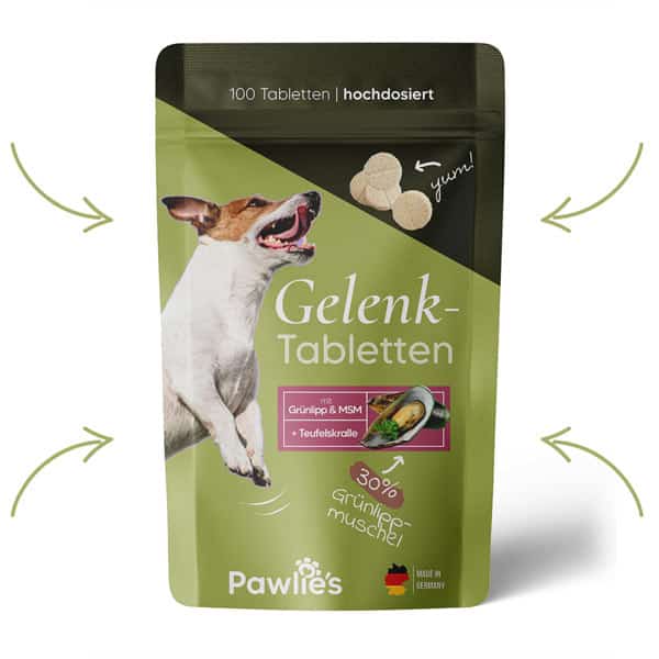 Gelenktabletten Gruenlippmuschel MSM