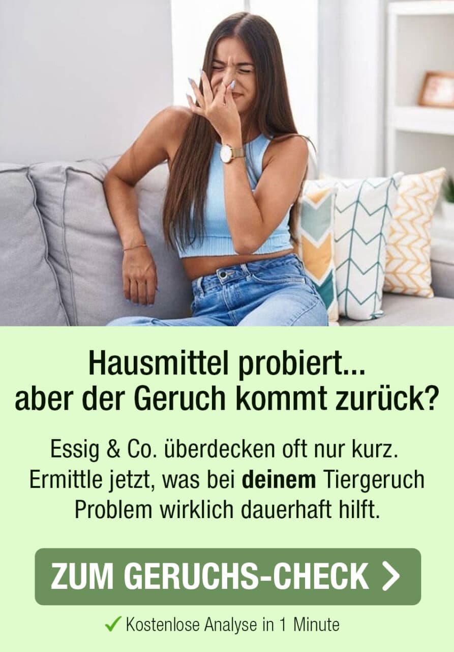 Geruchscheck Banner mobile