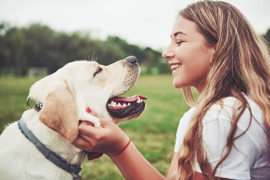 Pawlies - Golden Retriever (1)