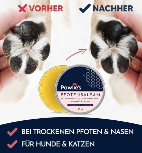 Pawlie's Pfotenbalsam vorher nachher Vergleich - gepflegte Hundepfoten für Seniorenhunde