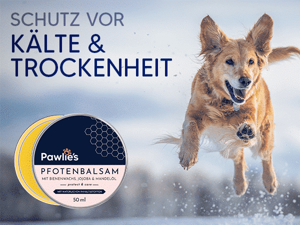 pawlies pfotenbalsam tierpflegeprodukte deutsche herstellung nachhaltigkeit naturverbunden