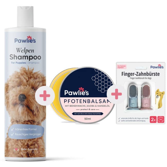 Welpen Starter-Set