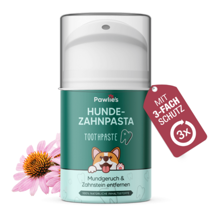 Hundezahnpasta - Zahnpflege für Hunde