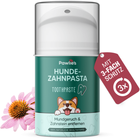 Hundezahnpasta - Zahnpflege für Hunde