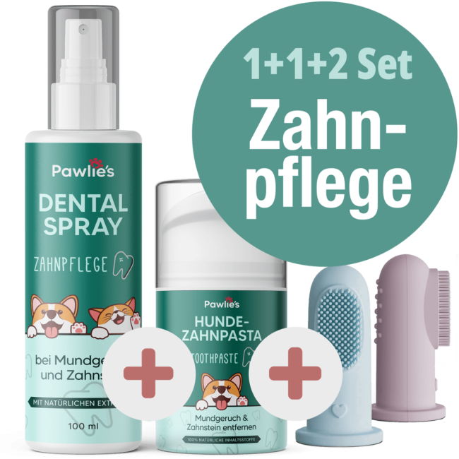 Zahnplfege Set für Hunde