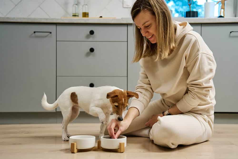 Eine Frau füttert einen kleinen Hund in der Küche.