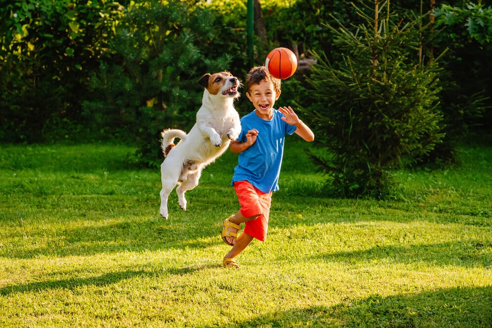 Ein Junge spielt mit einem Hund und einem Basketball in einem hundefreundlichen Garten.