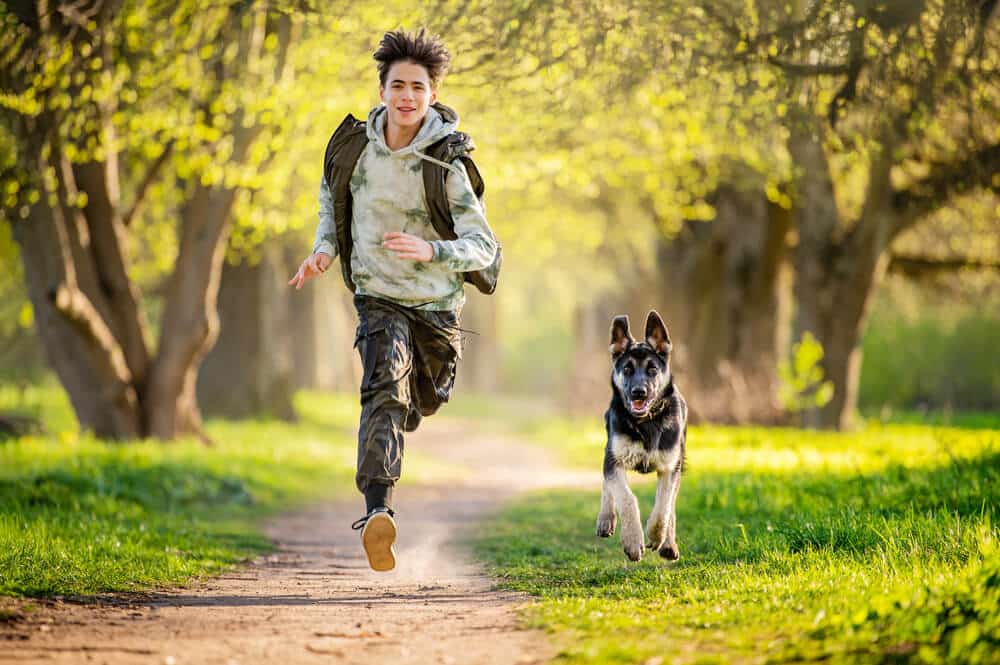 Hund läuft neben einer Person auf einem Waldweg für gelenkschonende Bewegung.