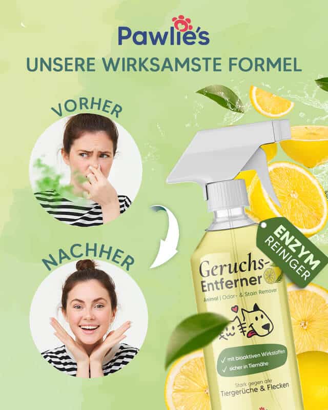 Pawlies Enzymreiniger