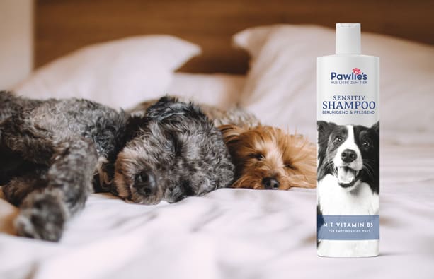 Juckreiz Shampoo Angebot