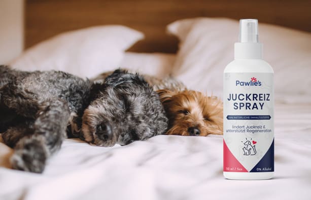 Juckreiz Spray Angebot