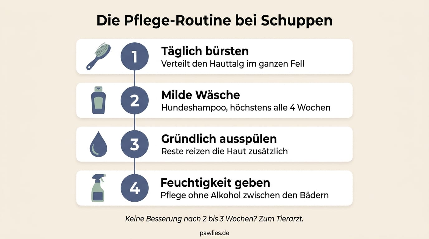 Pflege-Routine bei Schuppen beim Hund: täglich bürsten, milde Wäsche, gründlich ausspülen, Feuchtigkeit ohne Alkohol geben