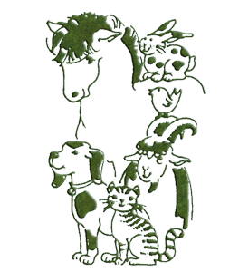 Logo Tierschutzverein Plauen und Umgebung e.V.