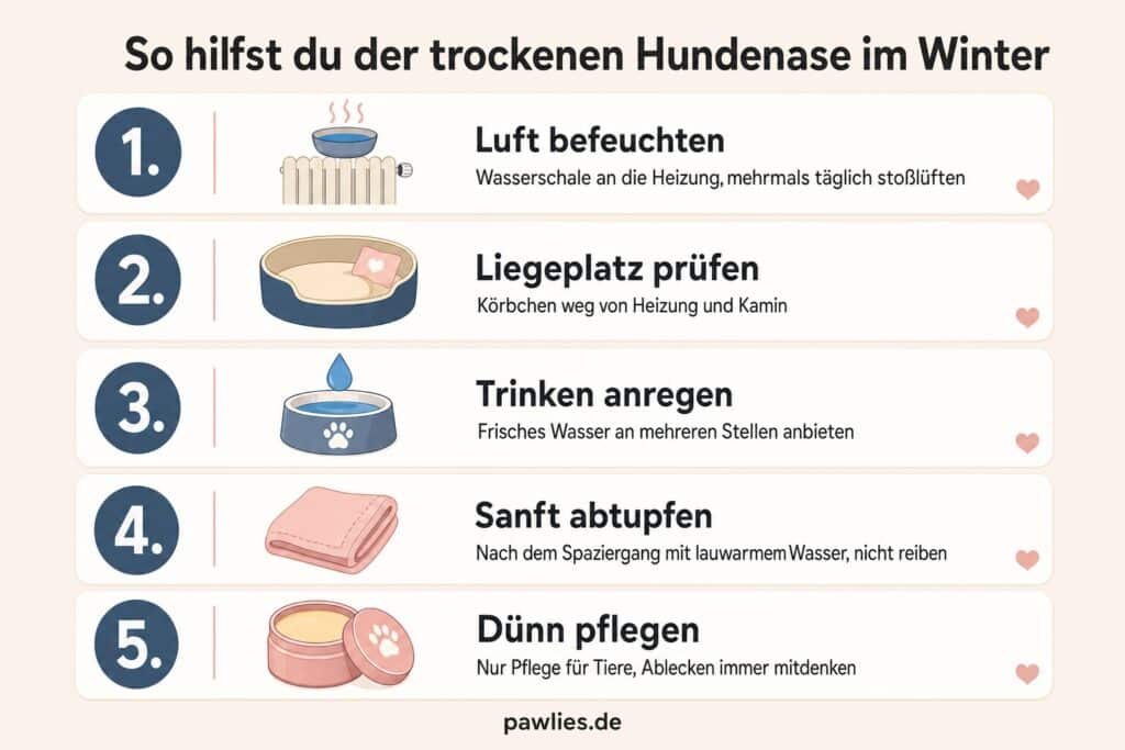 Infografik: So hilfst du der trockenen Hundenase im Winter: Luft befeuchten, Liegeplatz prüfen, Trinken anregen, sanft abtupfen, dünn pflegen