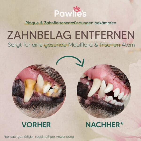 Zahncreme für Hunde